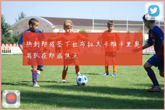 热刺即将签下杜布拉夫卡维卡里奥离队在即成焦点